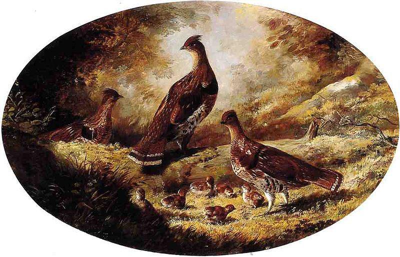 Ferdinand Richardt Grouse Family oil painting picture
